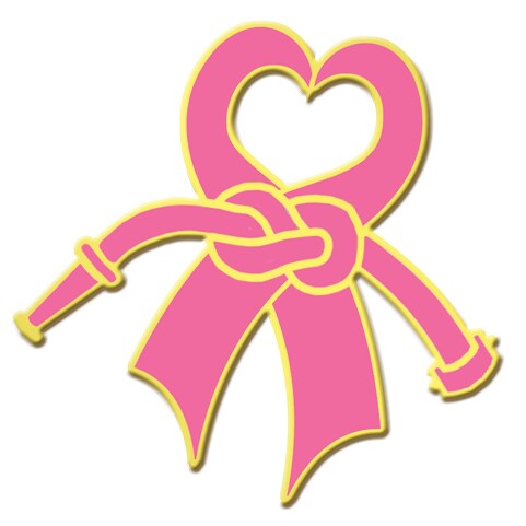 Detroit Lions NFL Breast Cancer Awareness Pink Ribbon Lapel Pin –  SportsJewelryProShop